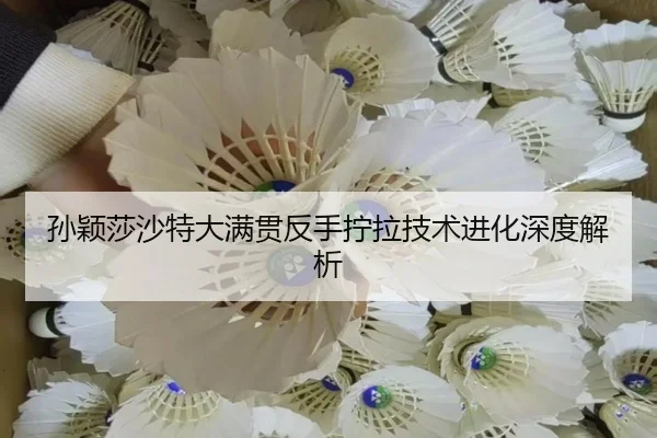 sun-ying-sha-sha-te-da-man-guan-fan-shou-ning-la-ji-shu-jin-hua-shen-du-jie-xi-2-516.jpg