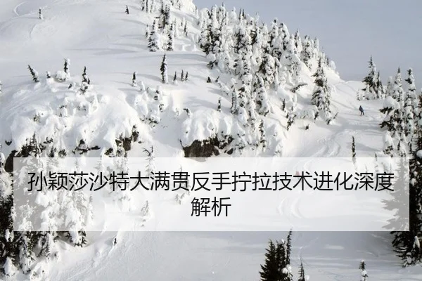 sun-ying-sha-sha-te-da-man-guan-fan-shou-ning-la-ji-shu-jin-hua-shen-du-jie-xi-3-322.jpg