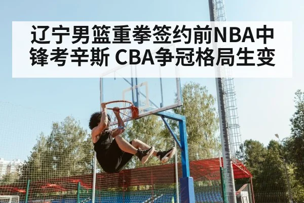 辽宁男篮重拳签约前NBA中锋考辛斯 CBA争冠格局生变