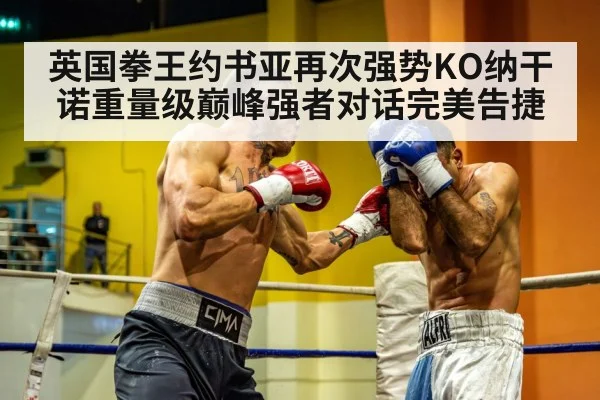 heavyweight boxing fight